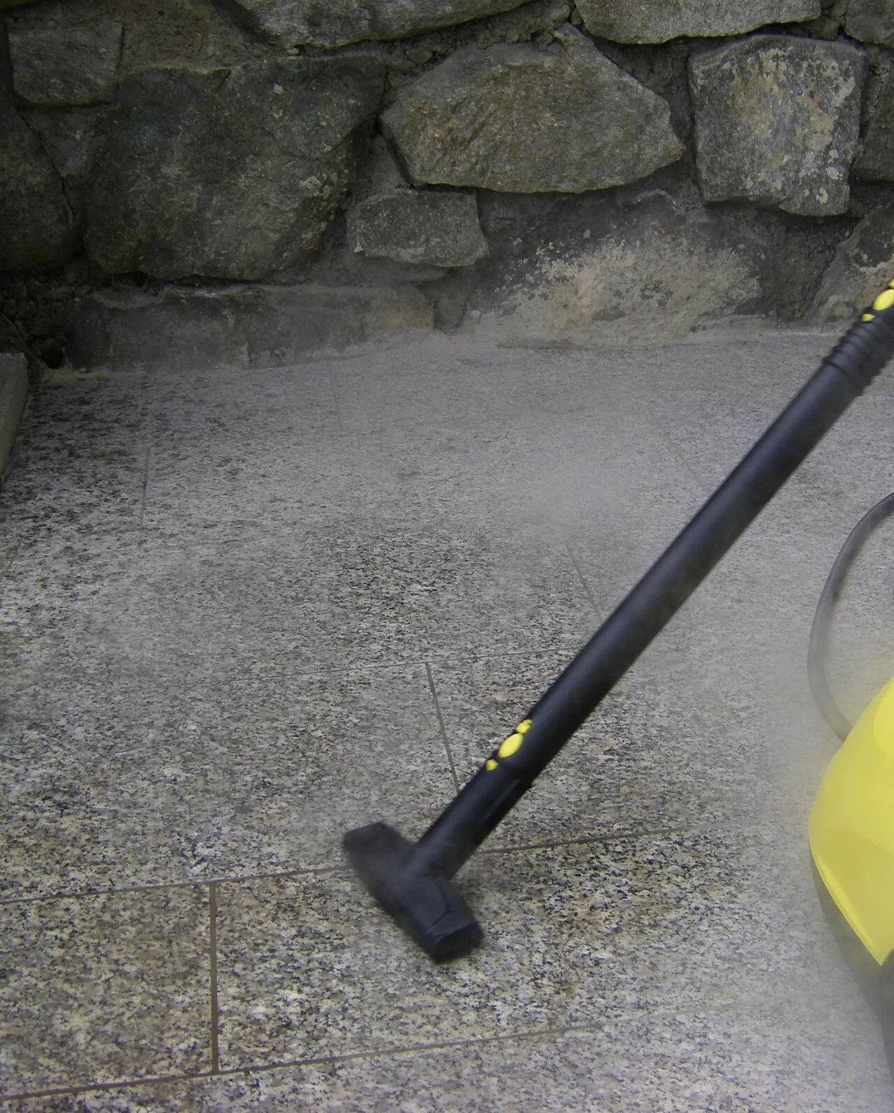 Nettoyeur vapeur professionnel pour se débarrasser des punaises de lit soi-même